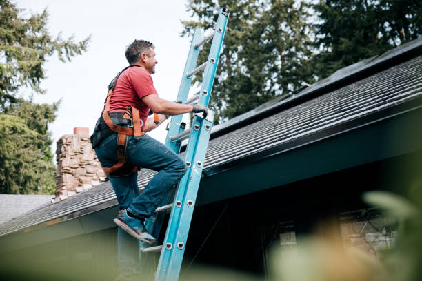 Best Roof Moss and Algae Removal  in Boron, CA